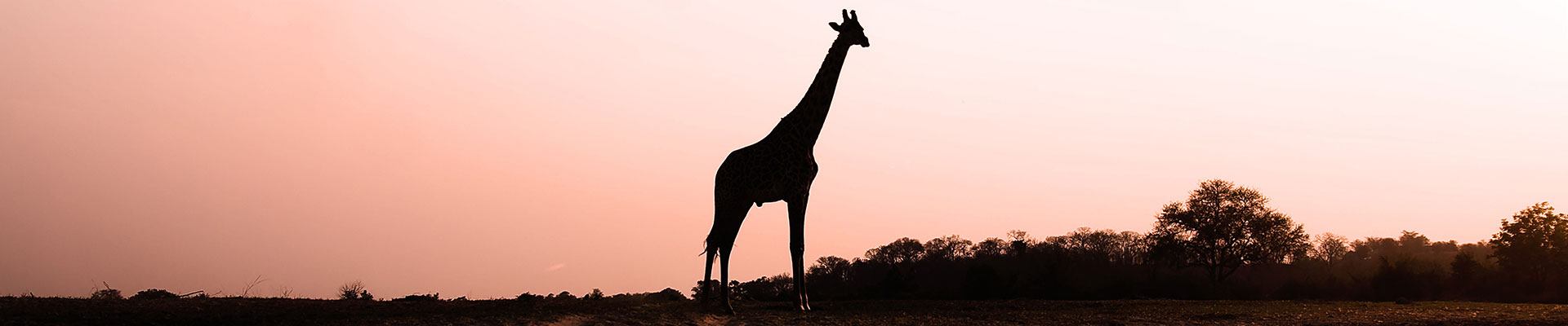 Parque Nacional de Chobe