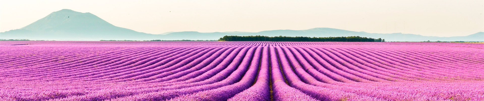 Roteiro de Carro – Provence e Riviera Francesa