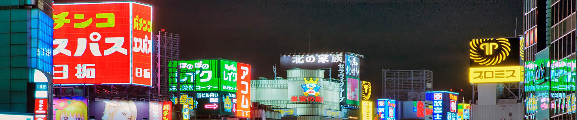 Pacote de Viagem Terrestre – Tóquio