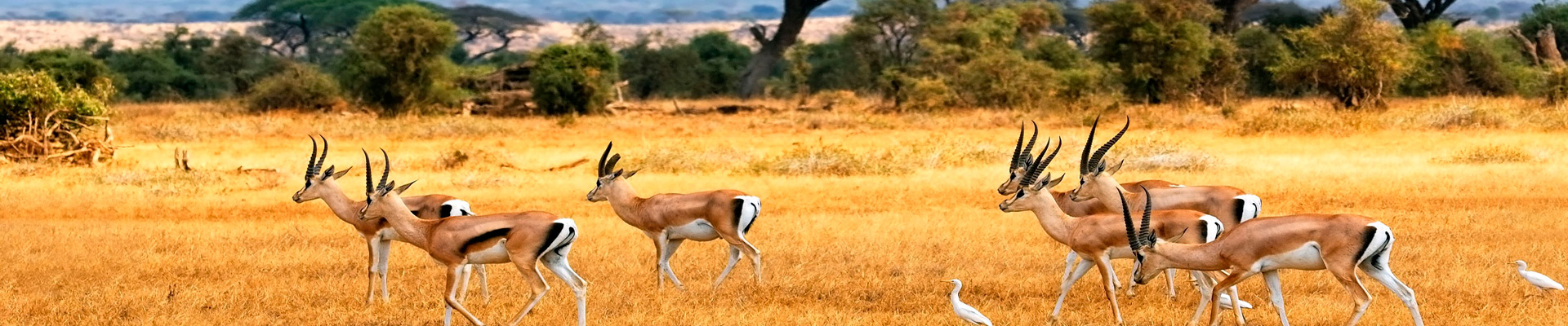 África do Sul