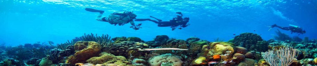 pacotes de viagem para Bonaire - ViaRegia Turismo