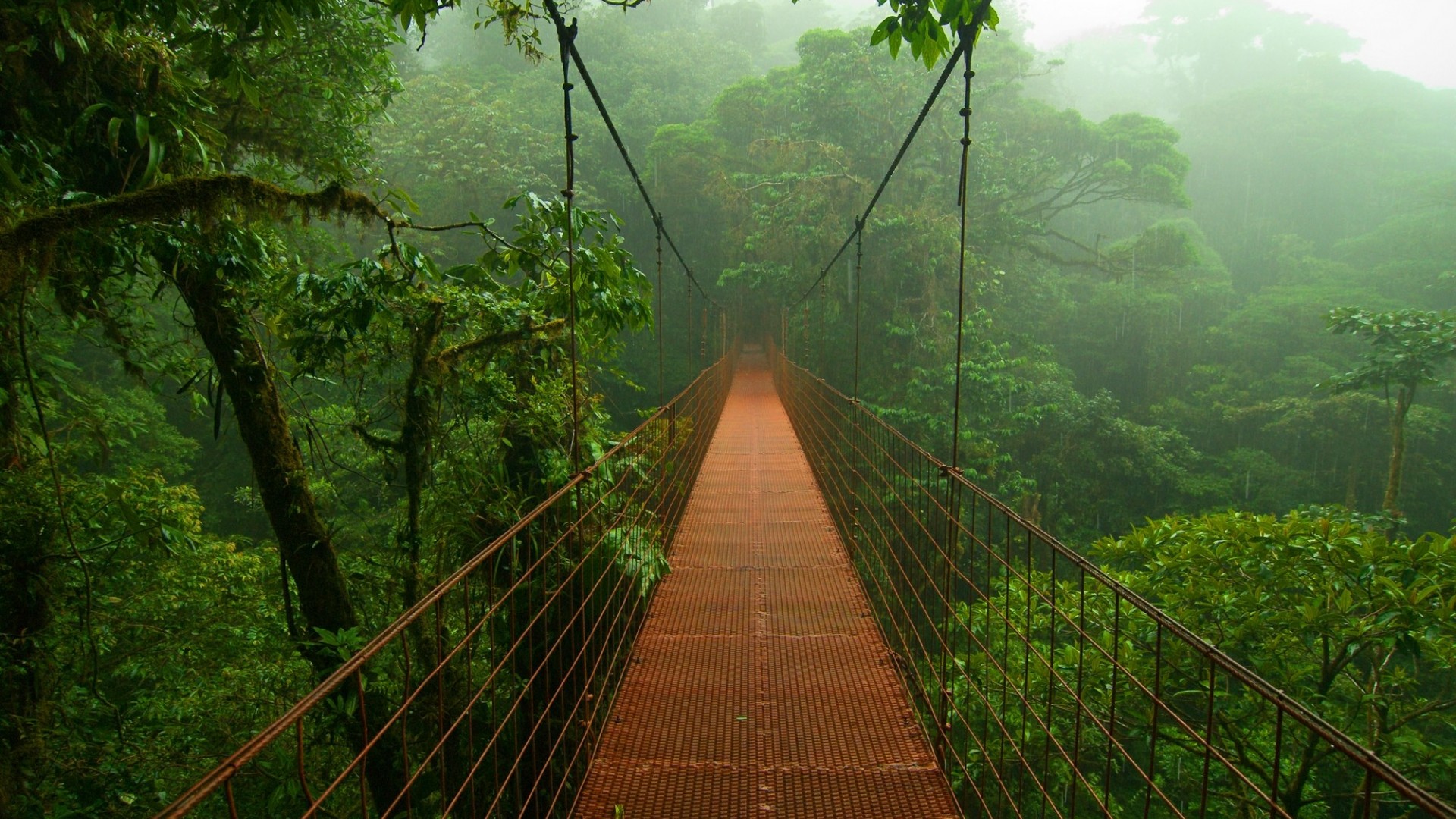 Costa Rica Open Voucher