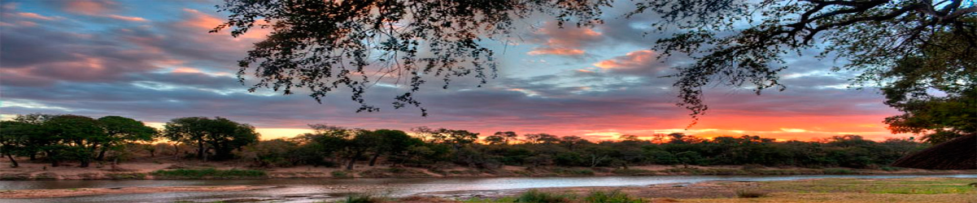 Roteiro África Experience