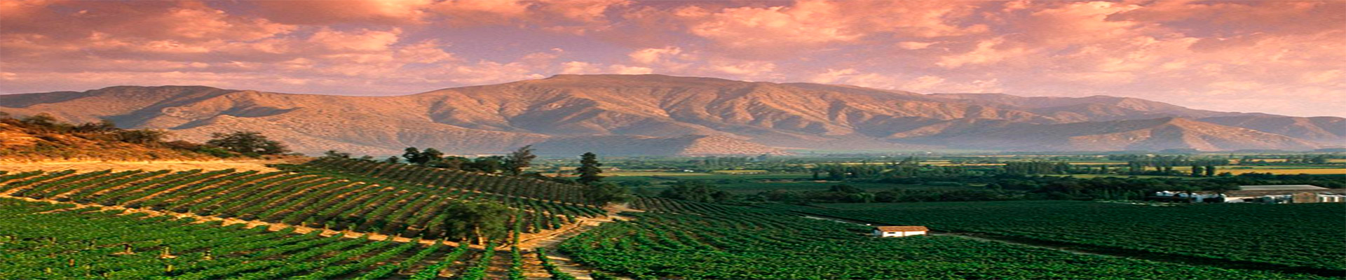 Mendoza – 3 Noites
