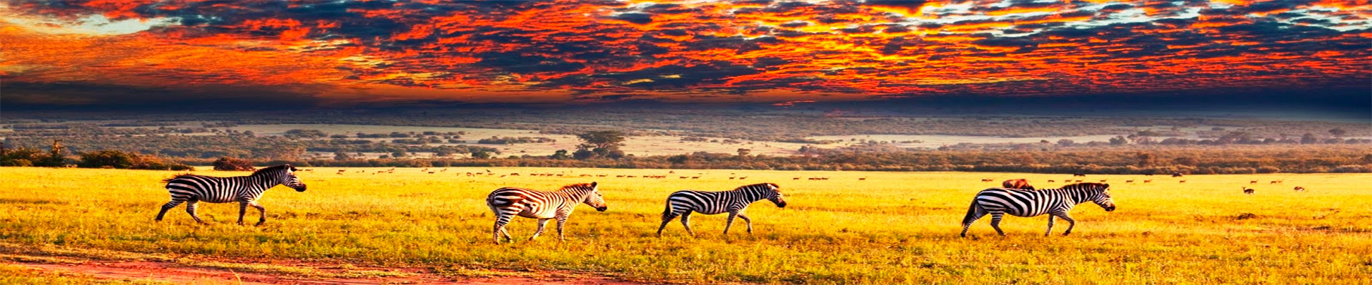Riquezas da África do Sul