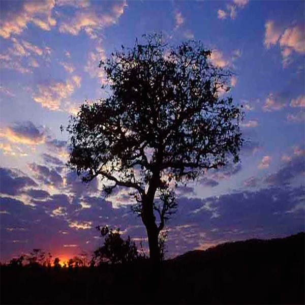 Imagem do paconte Riquezas da África do Sul