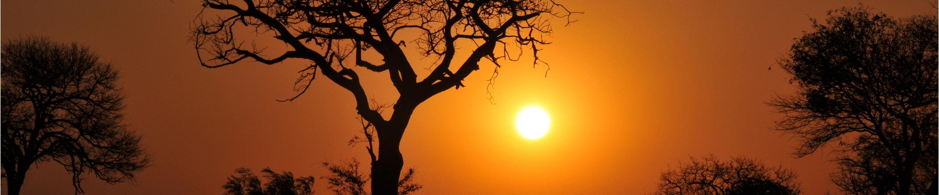 Kruger Park