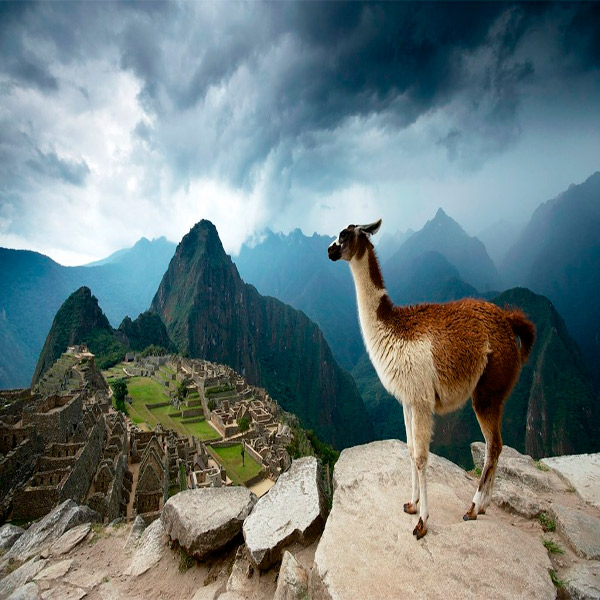 Imagem do paconte Lima e Machu Picchu Completo