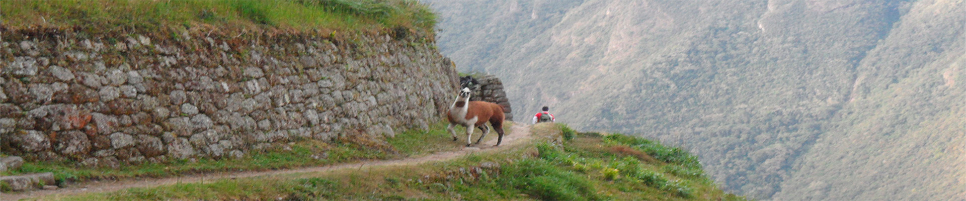 TRILHA INCA CURTA