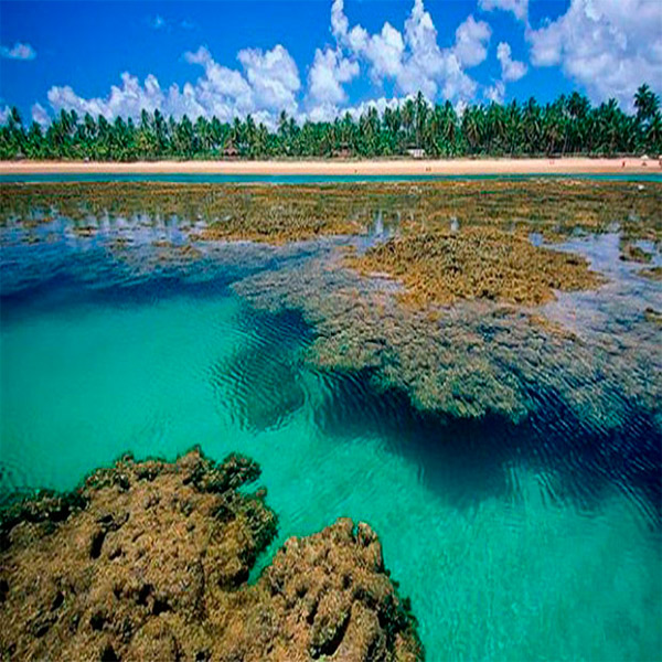 Imagem do paconte Itacaré e Maraú